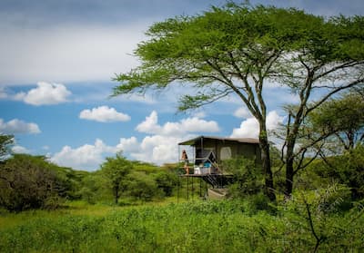 Bush Rover Suites Serengeti National park