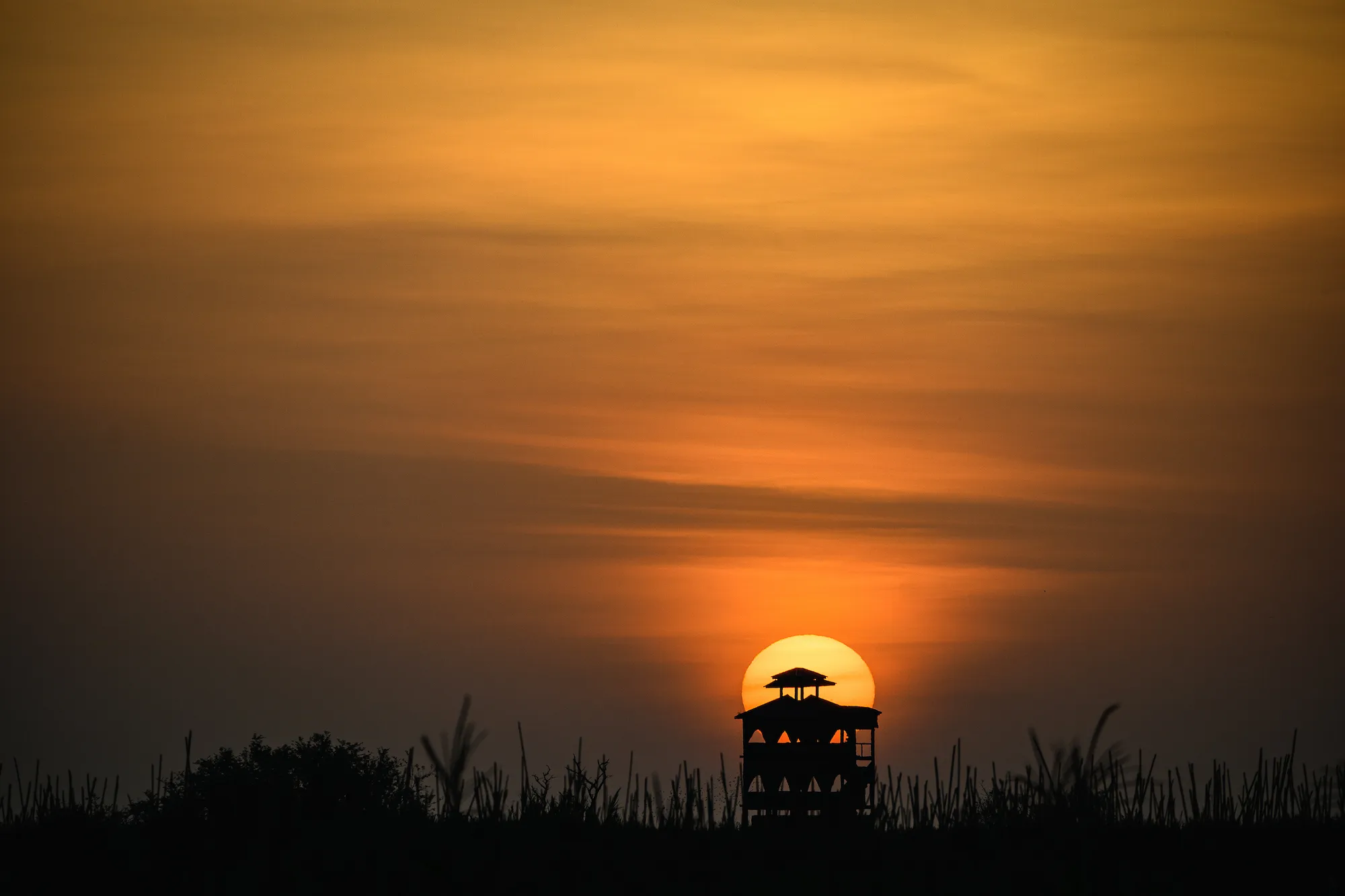 Little Okavango Camp Lake Victoria tower