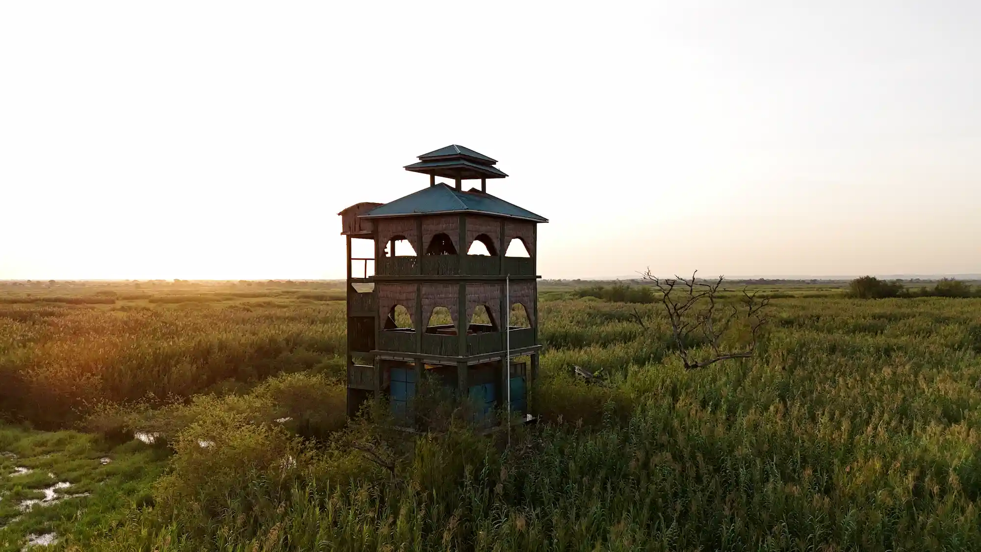 Little Okavango Camp Serengeti wetlands